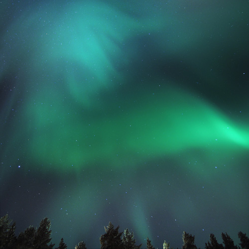 Magic Christmas in Lapland as a family