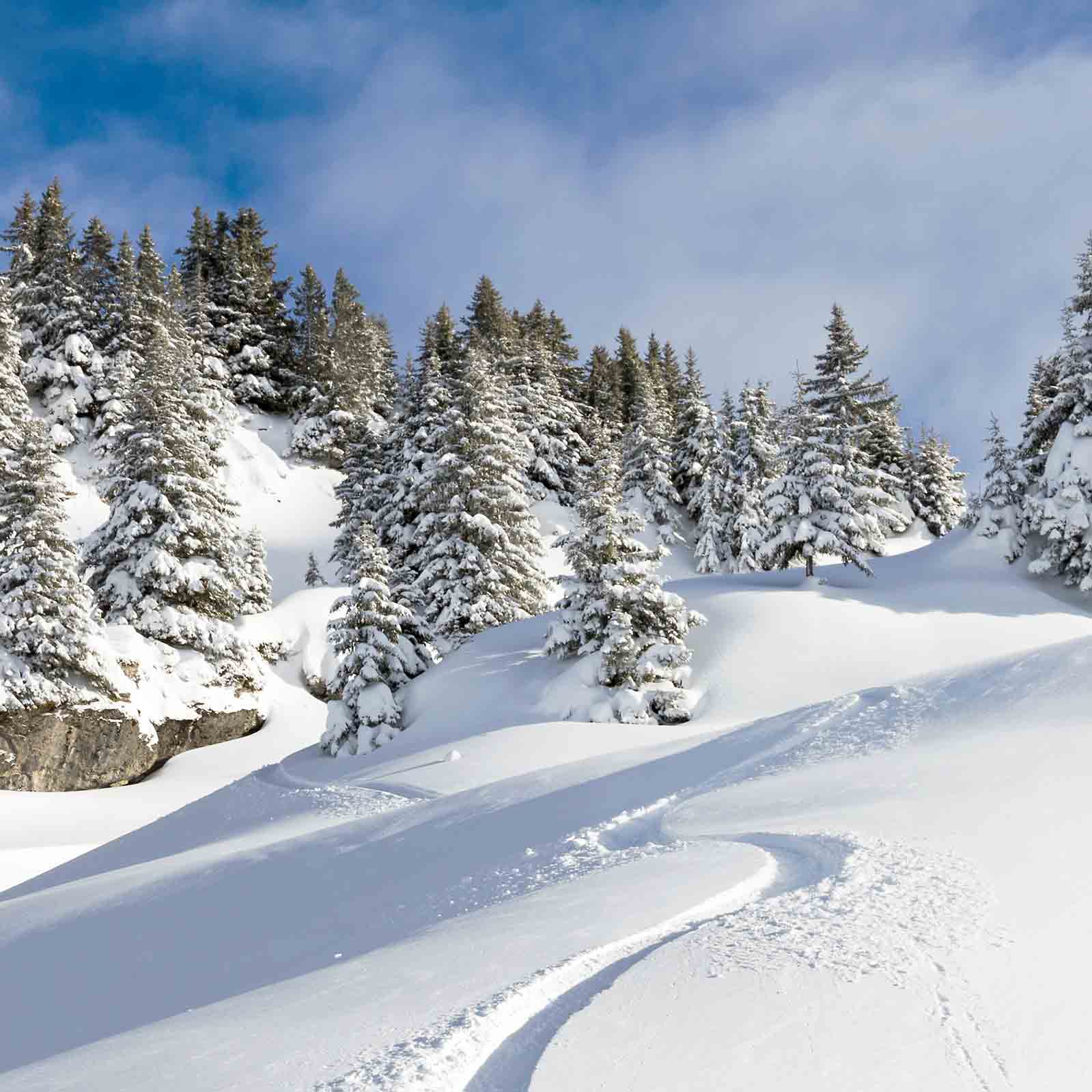 Ski entre amis à La Plagne