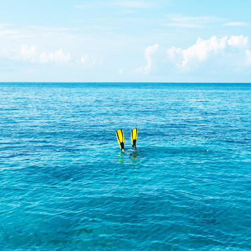 Discovery of Exuma for two