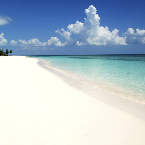 Green Turtle Cay en famille