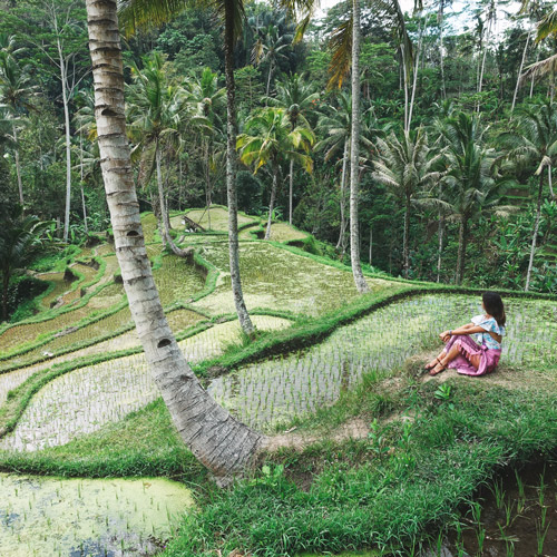 Aventures entre amis à Bali