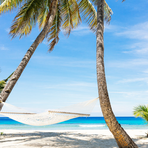 Discovery of Mana Island for two