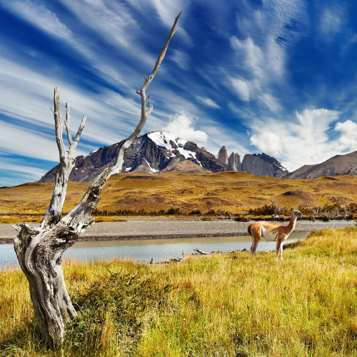 Aventures entre amis à San Carlos de Bariloche