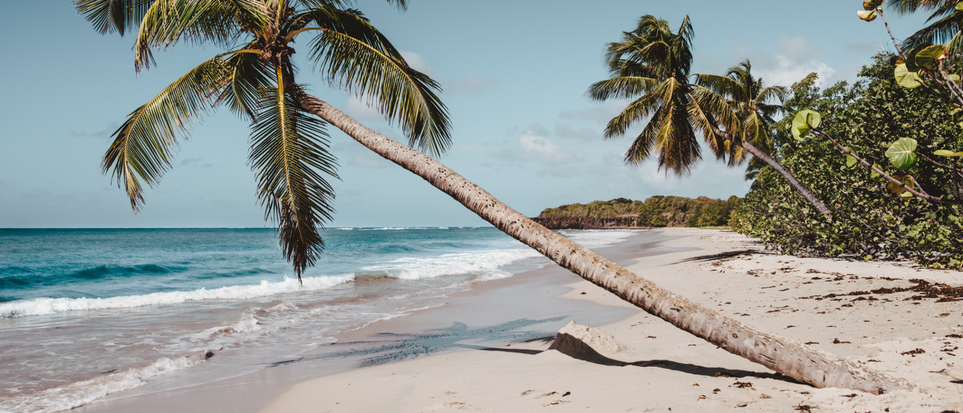 шри ланка надпись. баттикалоа шри ланка. велигама шри ланка. туры на шри ланку из спб 2024. пляж мирисса.