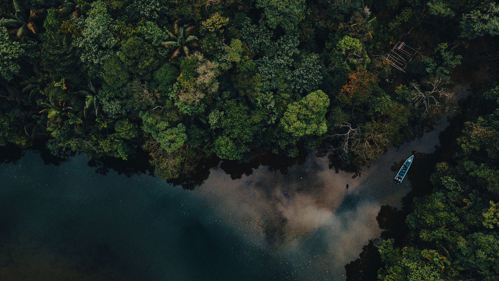 Vue aérienne d'une rivière traversant la forêt du Pacifique colombien