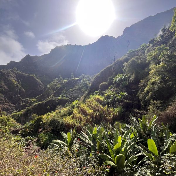 Végétation tropicale et sommets de Santo Antão à contre-jour, Cap-Vert