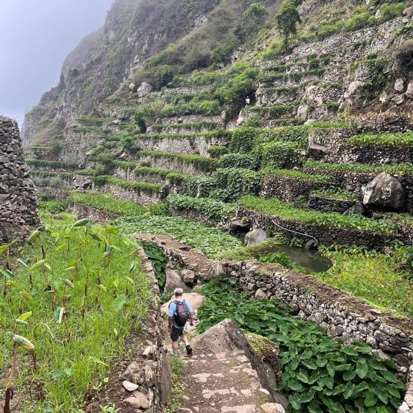 Randonneur sur un sentier pavé entre les cultures en terrasses, Santo Antão, Cap-Vert