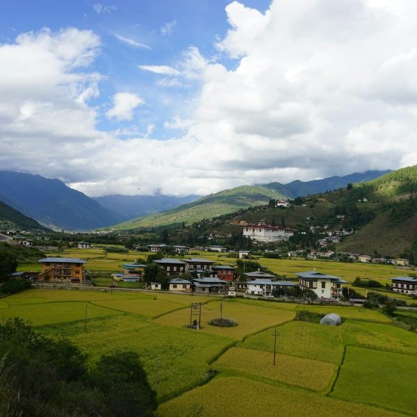 Vallée verdoyante de Paro, Bhoutan