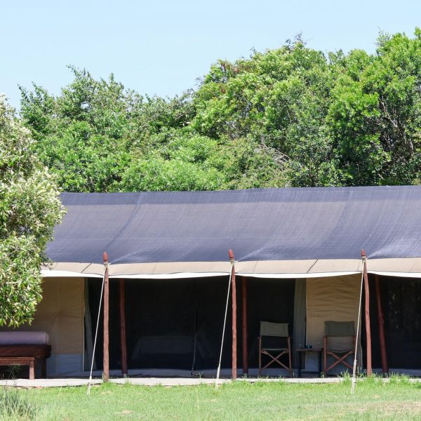 Tente de safari dans un camp de brousse, Botswana