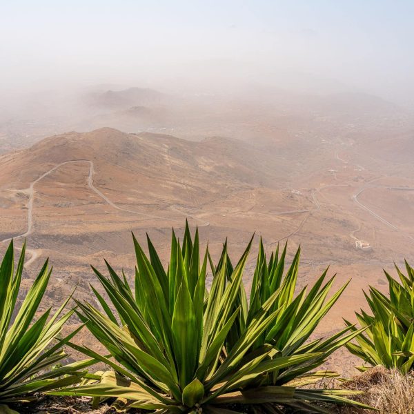 Agaves et collines arides vues du Morro Verde, Cap-Vert