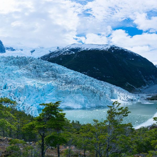 Glacier descendant vers la forêt en Patagonie chilienne