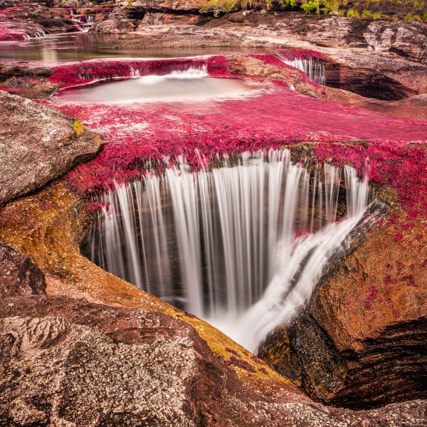 Rivière aux algues rouges de Caño Cristales, Colombie