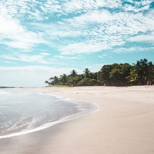 Plage de sable blanc bordée de palmiers, péninsule de Nicoya, Costa Rica