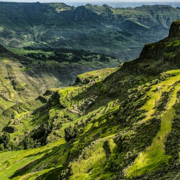 Escarpements verdoyants des monts Simien, Éthiopie
