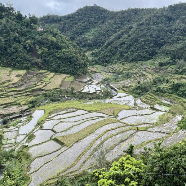 Rizières en terrasses inondées dans la montagne, Philippines