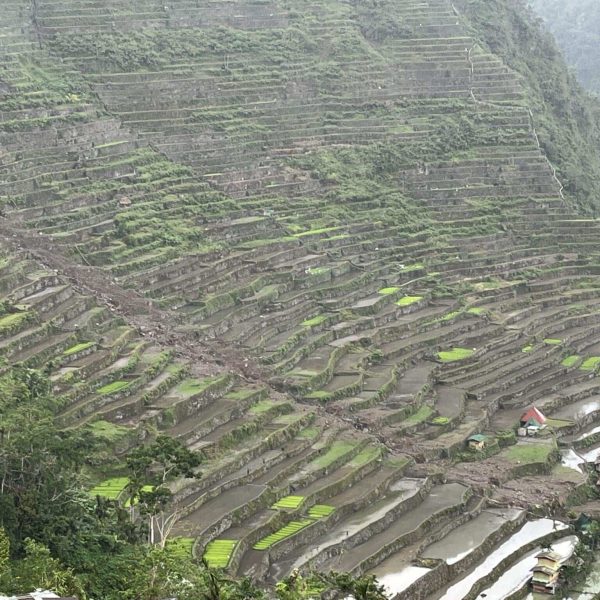 Rizières en terrasses de Batad sur les flancs de la montagne, Philippines