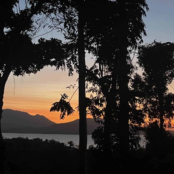 Silhouettes d'arbres tropicaux au coucher du soleil, Philippines