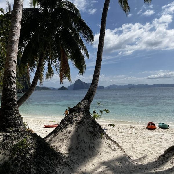 Plage de sable bordée de palmiers face aux îles, Philippines