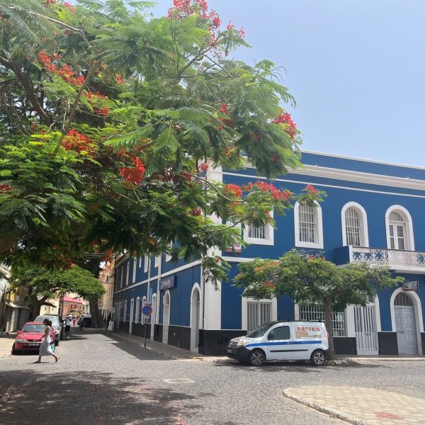 Maison coloniale bleue et flamboyant en fleurs, Cap-Vert
