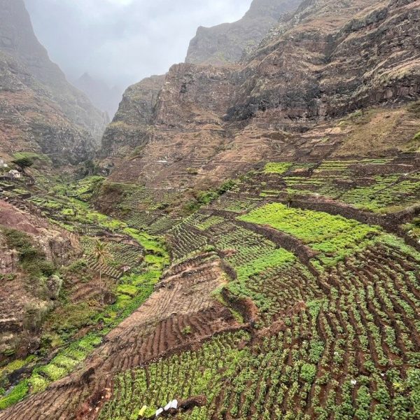 Cultures en terrasses au fond d'une vallée de montagne, Santo Antão, Cap-Vert