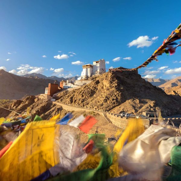 Drapeaux de prières devant le monastère Namgyal Tsemo à Leh, Ladakh, Inde du Nord