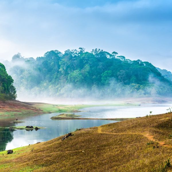 Rivière et collines boisées dans la brume, Inde du Sud