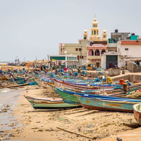 Barques de pêcheurs colorées sur une plage, Inde du Sud