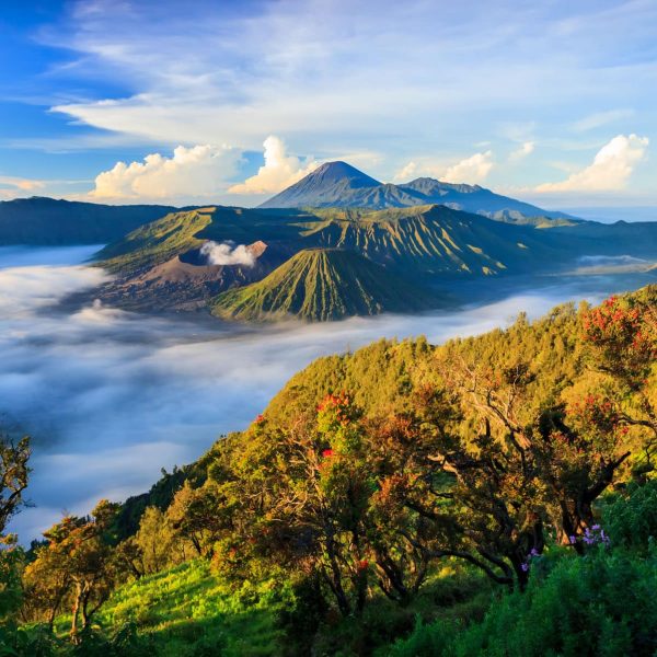 Volcan Bromo dans la brume au lever du soleil, Java, Indonésie