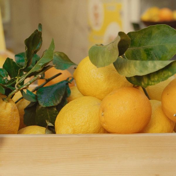 Citrons de la côte Amalfitaine, Italie