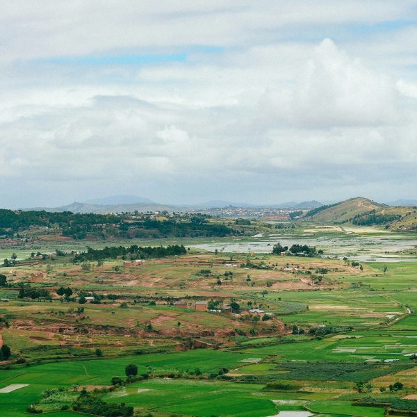 Rizières des hauts plateaux, Madagascar