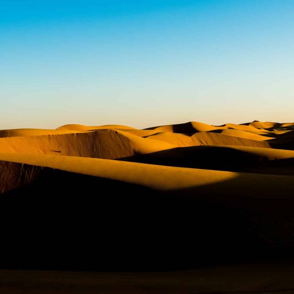 Dunes dorées du désert de Wahiba Sands, Oman