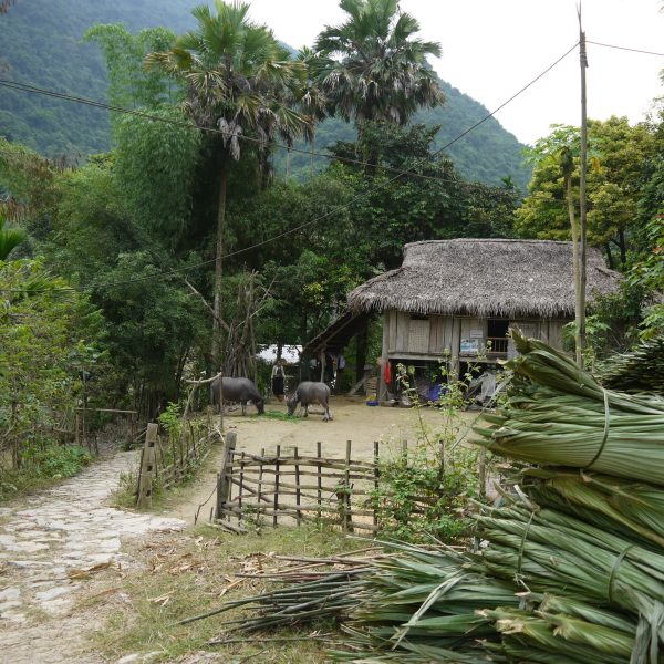 Ferme traditionnelle dans un village du Nord Vietnam