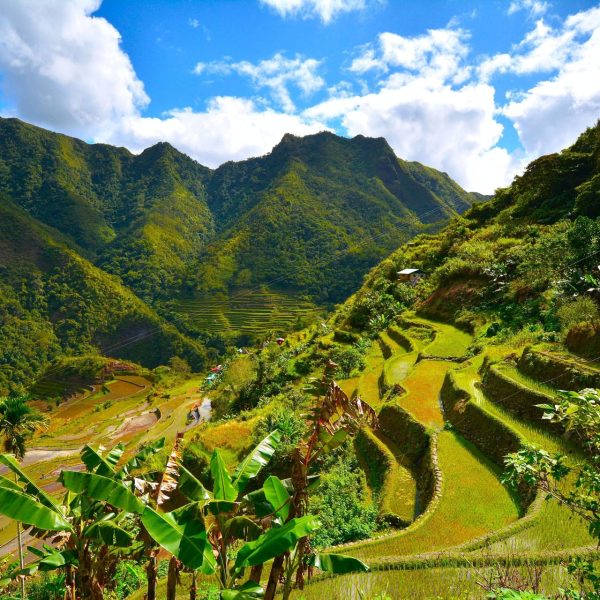 Rizières en terrasses de Batad, Philippines