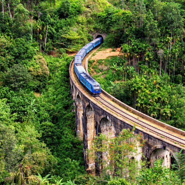 Train sur le pont aux neuf arches d'Ella, Sri Lanka