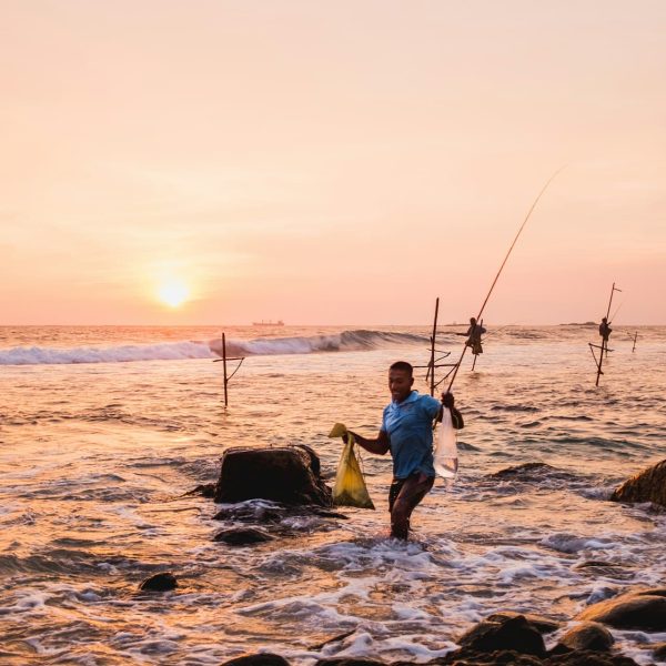 Pêcheurs sur échasses au coucher du soleil, Sri Lanka