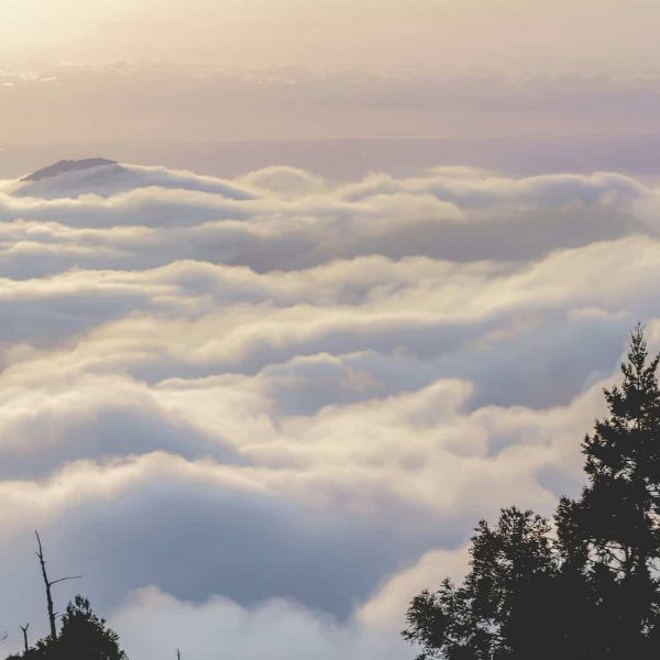 Mer de nuages au lever du soleil à Alishan, Taïwan