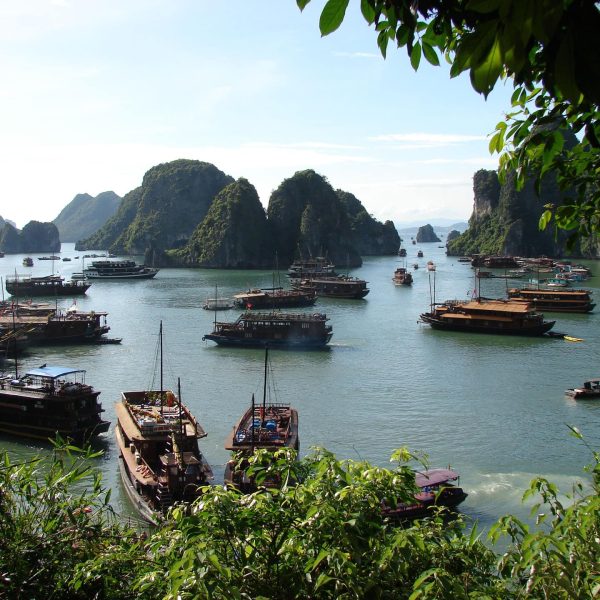 Jonques et pitons karstiques de la baie d'Halong, Vietnam