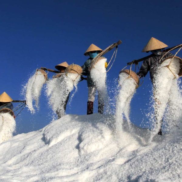 Sauniers portant des paniers de sel, Vietnam