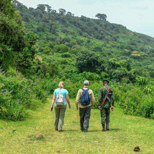 Safari à pied avec un ranger dans la brousse, Zambie