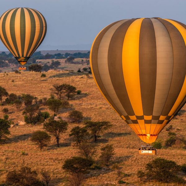 Montgolfières au-dessus de la savane du Serengeti, Tanzanie